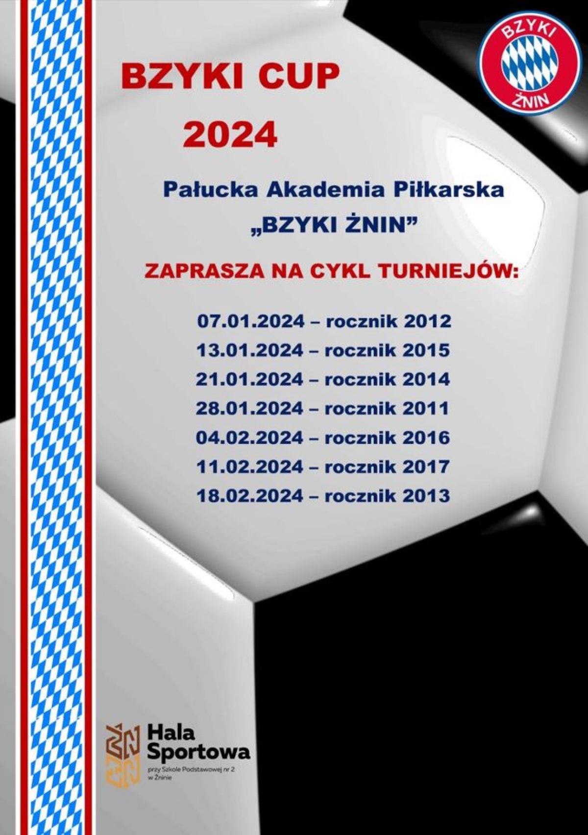 BZYKI CUP 2024