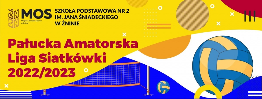 Liga Piłki Siatkowej