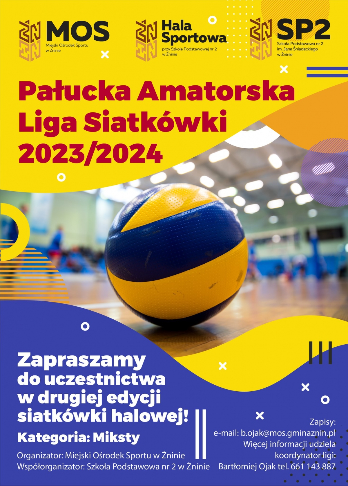 Pałucka Amatorska Liga Piłki Siatkowej